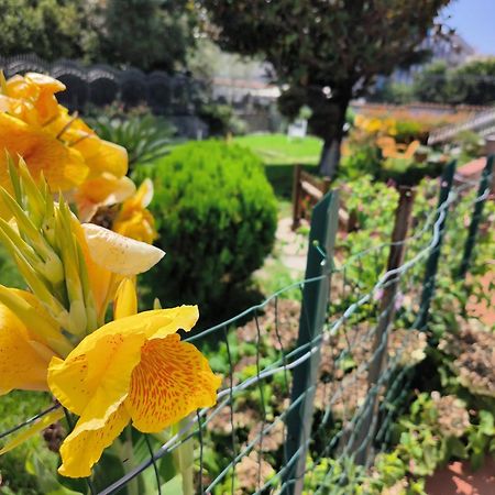 Ferienwohnung I Giardini Di Plinio - Elegante E Luminoso. Boscoreale Exterior foto