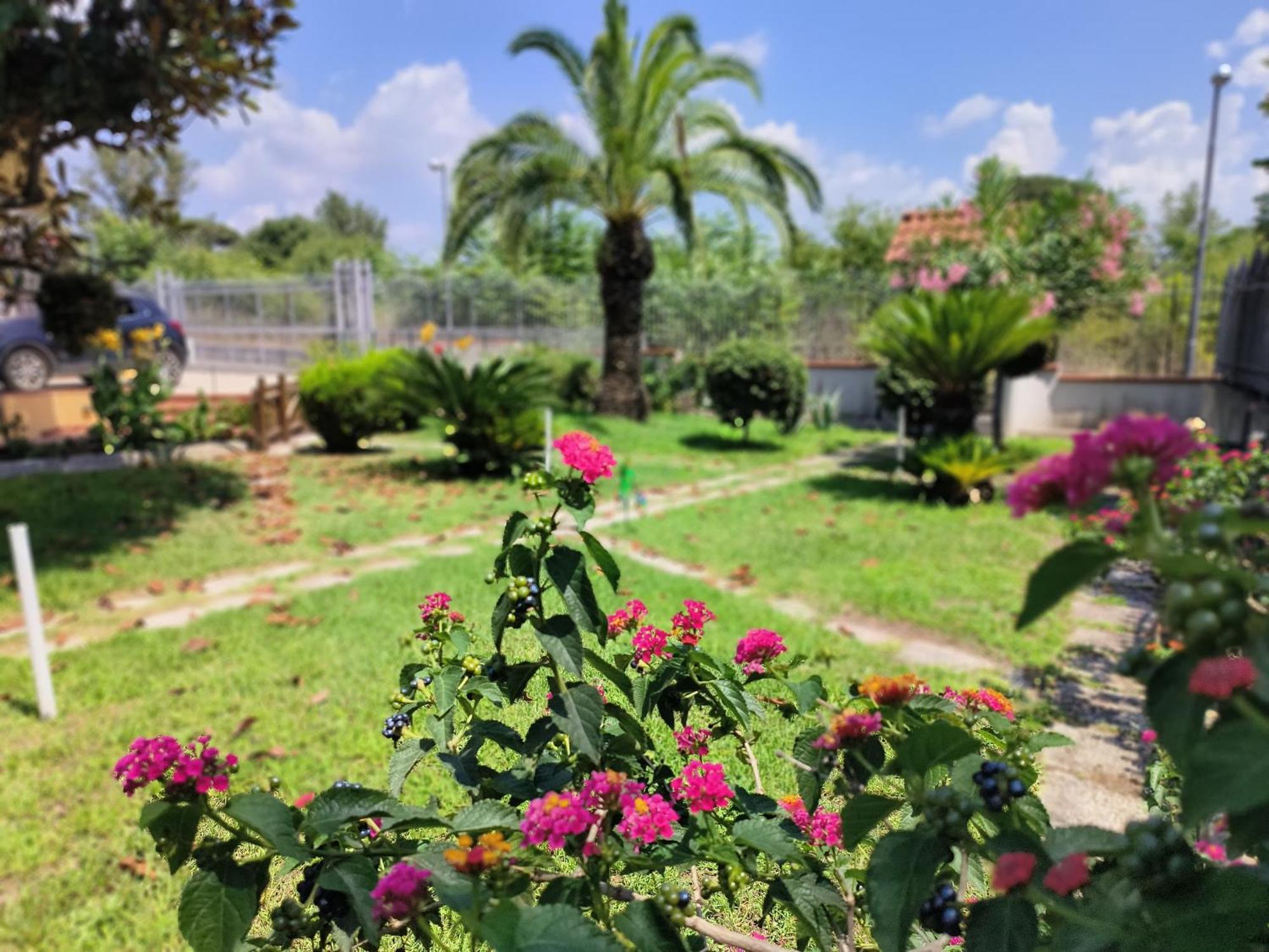 Ferienwohnung I Giardini Di Plinio - Elegante E Luminoso. Boscoreale Exterior foto